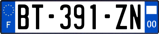 BT-391-ZN