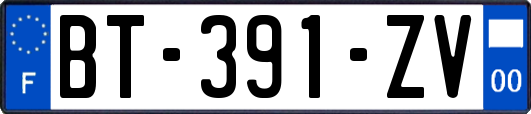 BT-391-ZV