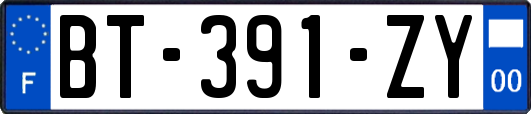 BT-391-ZY