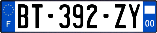 BT-392-ZY