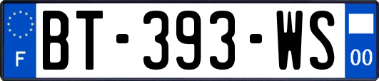 BT-393-WS