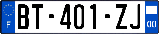 BT-401-ZJ