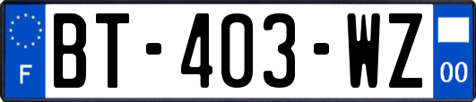 BT-403-WZ