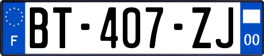 BT-407-ZJ