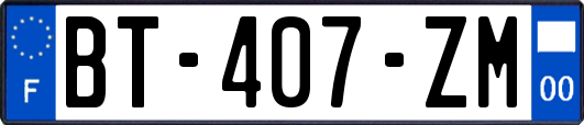 BT-407-ZM