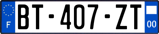 BT-407-ZT