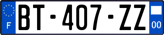 BT-407-ZZ