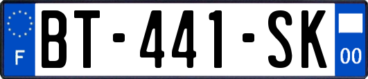 BT-441-SK