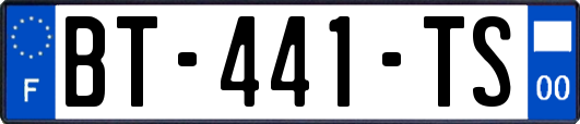 BT-441-TS