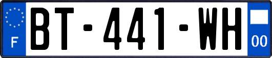 BT-441-WH