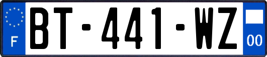 BT-441-WZ