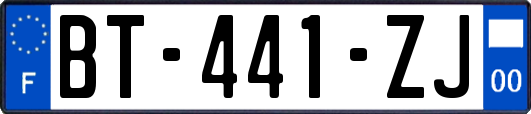 BT-441-ZJ