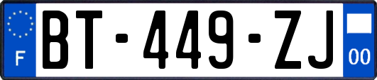 BT-449-ZJ