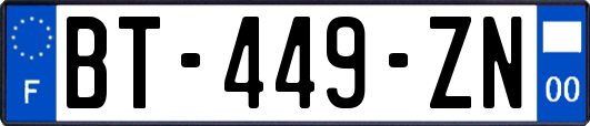 BT-449-ZN