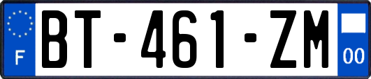 BT-461-ZM