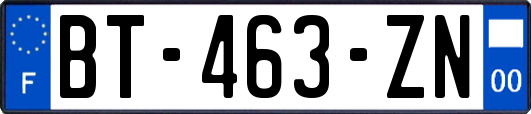 BT-463-ZN