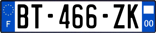 BT-466-ZK