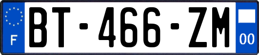 BT-466-ZM