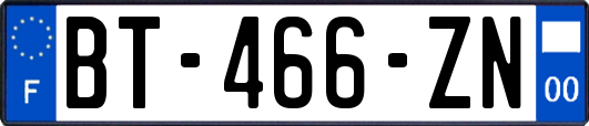 BT-466-ZN