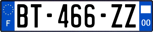 BT-466-ZZ