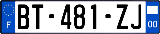 BT-481-ZJ