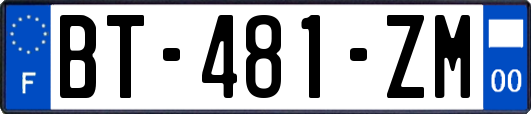 BT-481-ZM