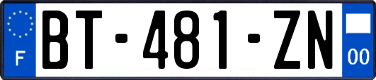 BT-481-ZN