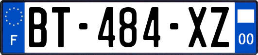 BT-484-XZ