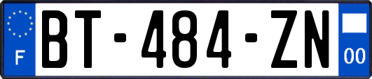 BT-484-ZN