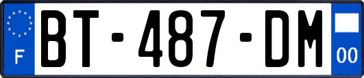 BT-487-DM