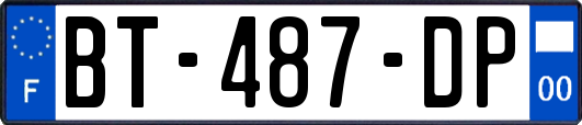 BT-487-DP