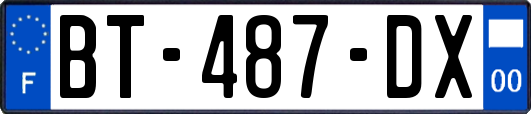 BT-487-DX