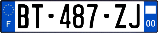 BT-487-ZJ