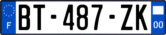 BT-487-ZK