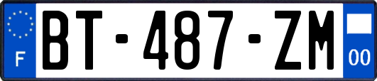 BT-487-ZM