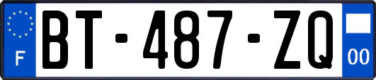 BT-487-ZQ