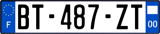 BT-487-ZT