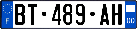 BT-489-AH