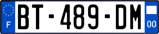 BT-489-DM