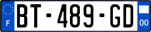 BT-489-GD