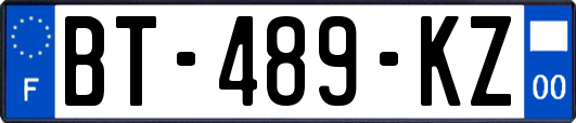 BT-489-KZ