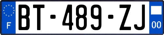 BT-489-ZJ