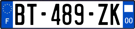 BT-489-ZK