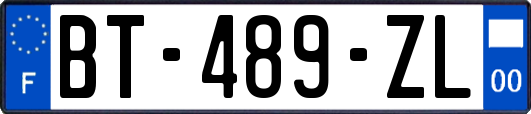 BT-489-ZL