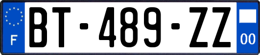 BT-489-ZZ