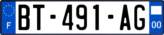 BT-491-AG