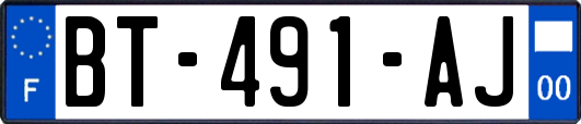 BT-491-AJ