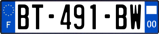 BT-491-BW