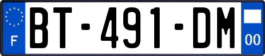 BT-491-DM