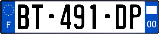 BT-491-DP